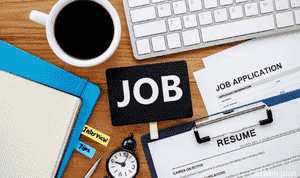seo jobs in india