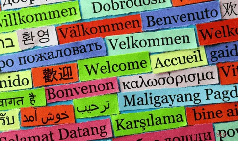 Multilingual SEO