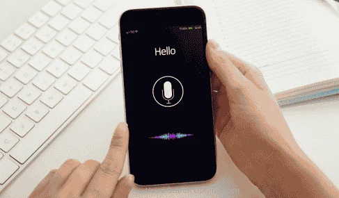 Voice Search Optimization